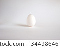 雞蛋 34498646