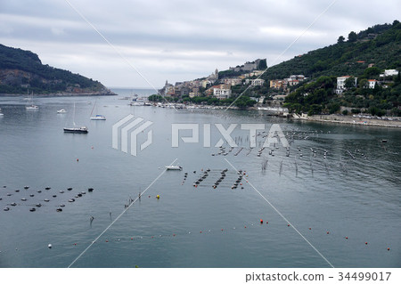 Mussel farm in mediterranean sea 34499017