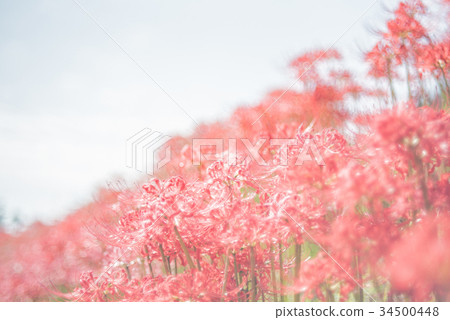 一個字神社 34500448