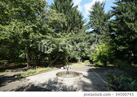 豐平公園（札幌市豐平區）公園的風景 34500743