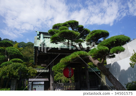 Hasedera Hasedera寺 34501575