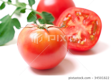 蕃茄 34501822