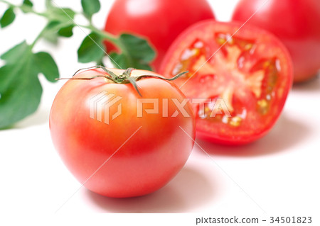 蕃茄 34501823