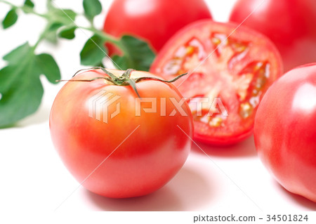 Tomato Tomato 34501824