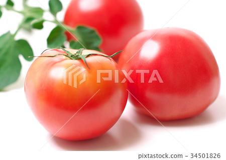 Tomato Tomato 34501826