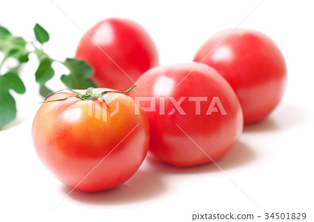 蕃茄 34501829