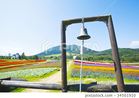 Yayoi Garden Flower Field 34501910