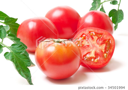 蕃茄 34501994