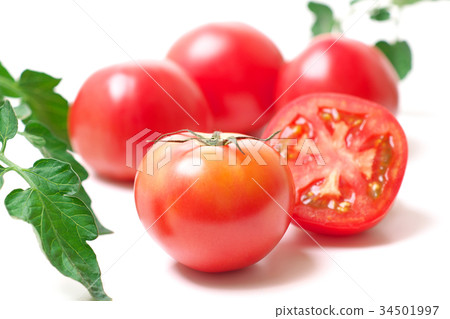 蕃茄 34501997