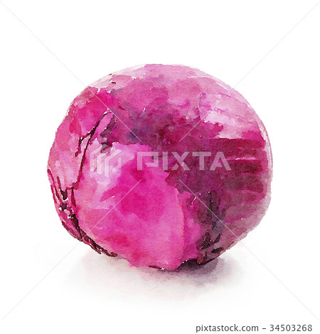 Purple cabbage _ watercolor style 34503268