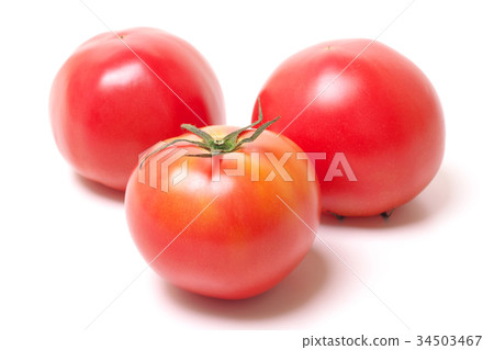Tomato   34503467