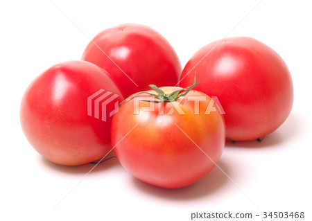 蕃茄 34503468