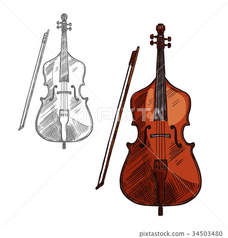 Vector sketch contrabass violin music instrument Vector sketch contrabass violin music instrument 34503480