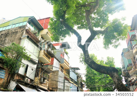 Hanoi Hanoi old town cityscape and trees Hanoi Hanoi old town cityscape and trees 34503552