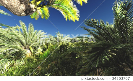 Awesome view on Sahara desert at sundown 3d 34503707