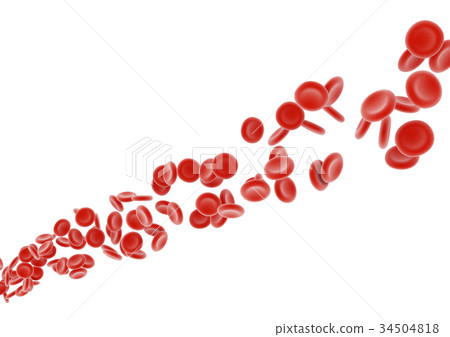 Erythrocyte Erythrocyte 34504818