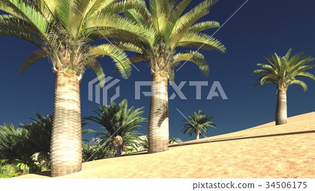 Lavish spectacular plant life on desert later in Lavish spectacular plant life on desert later in 34506175