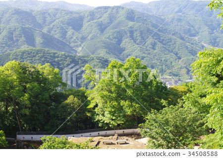 Bengoshi Tenshi and oar of Matsuyama castle 34508588