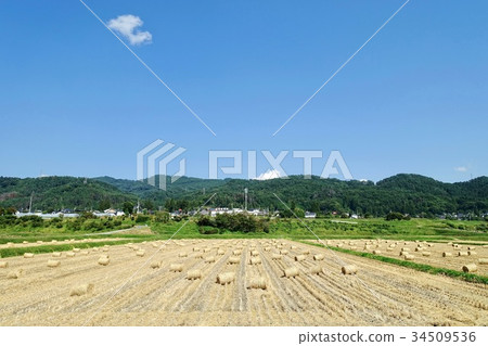 Autumn sky straw roll Autumn sky straw roll 34509536