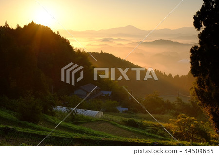 Dawn of rice terraces (Uda City, Nara Prefecture) 34509635