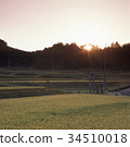 Sunrise 34510018
