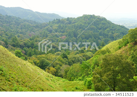 Wakakusayama Forest Wakakusayama Forest 34511523