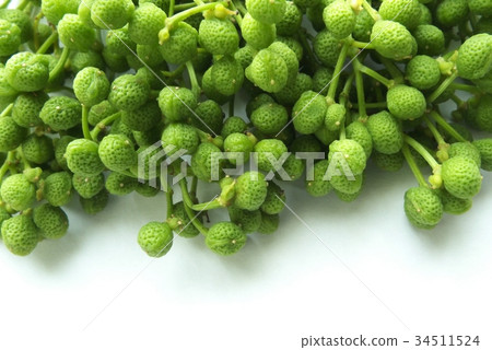 Miyama Sho（Mizan Sho） 34511524