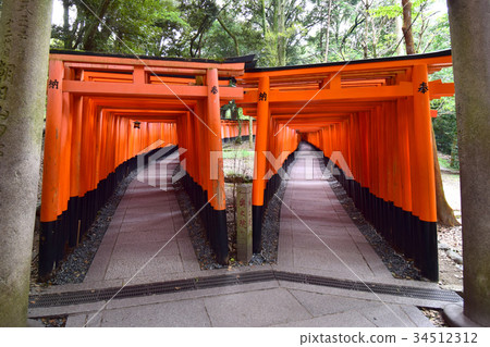 Kyoto Fushimi Inari Shrine 34512312