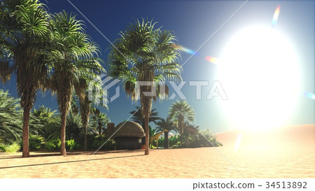 Rich exotic plant life on desert later in the day Rich exotic plant life on desert later in the day 34513892