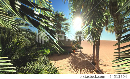 Abundant tropical plants on wilderness in the Abundant tropical plants on wilderness in the 34513894