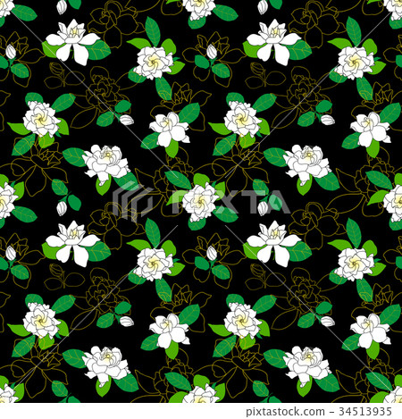 Seamless pattern with Gardenia jasminoides, cape 34513935