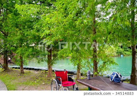 Willow, wheelchair, rest, walk Willow, wheelchair, rest, walk 34514883