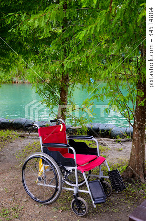 Willow, wheelchair, rest, walk Willow, wheelchair, rest, walk 34514884