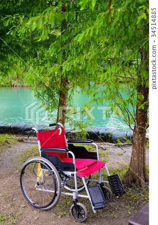 Willow, wheelchair, rest, walk Willow, wheelchair, rest, walk 34514885