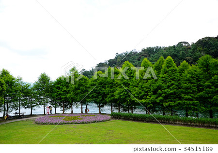 Park, garden 34515189