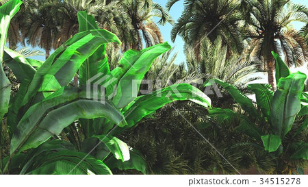 Lavish spectacular plants on wasteland later in Lavish spectacular plants on wasteland later in 34515278