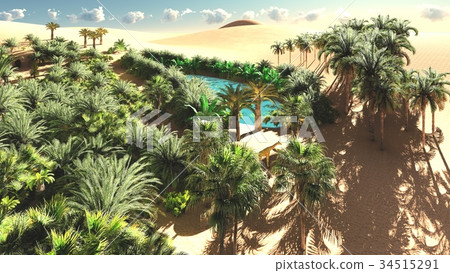 Rich exotic plant life on desert later in the day Rich exotic plant life on desert later in the day 34515291