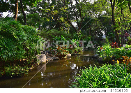 small canal in forrest 34516505