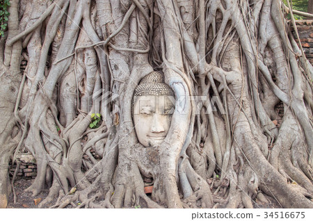 Ayutthaya ruins Wat Phra Mahathat Ayutthaya ruins Wat Phra Mahathat 34516675