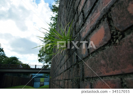 The sluice and Meganbashi that became a road now 34517055