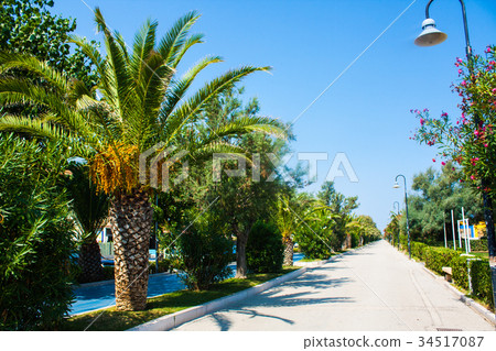 Adriatic sea coast Seashore of city Alba Adriatica 34517087