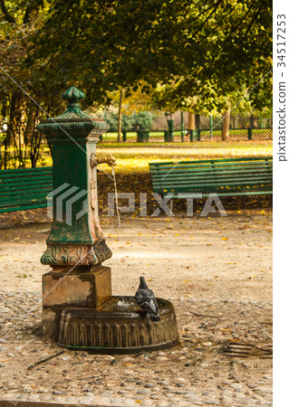 Italian drinking well in a park with pigeon 34517253