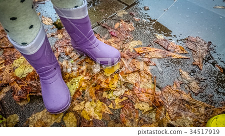 In the puddle 34517919
