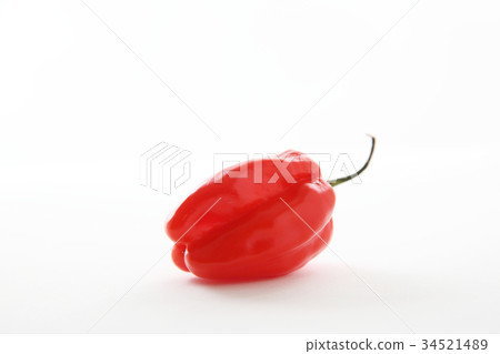 Habenero pepper isolated in white background 34521489