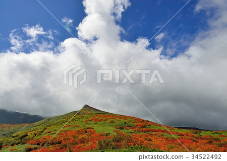 Autumnal hatred Mt. 34522492