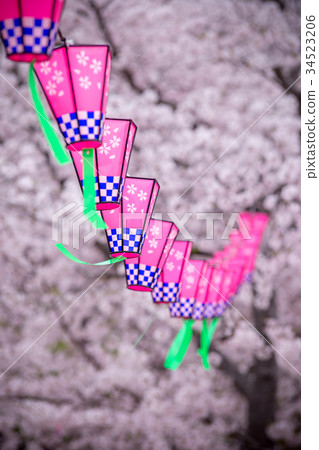 櫻花和燈籠 34523206