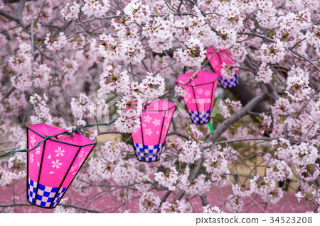 櫻花和燈籠 34523208