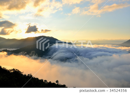 Branch Pass Branch Pass 34524356