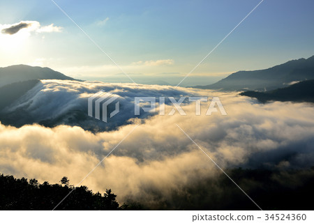 Branch Pass 34524360