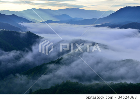 Branch Pass 34524368